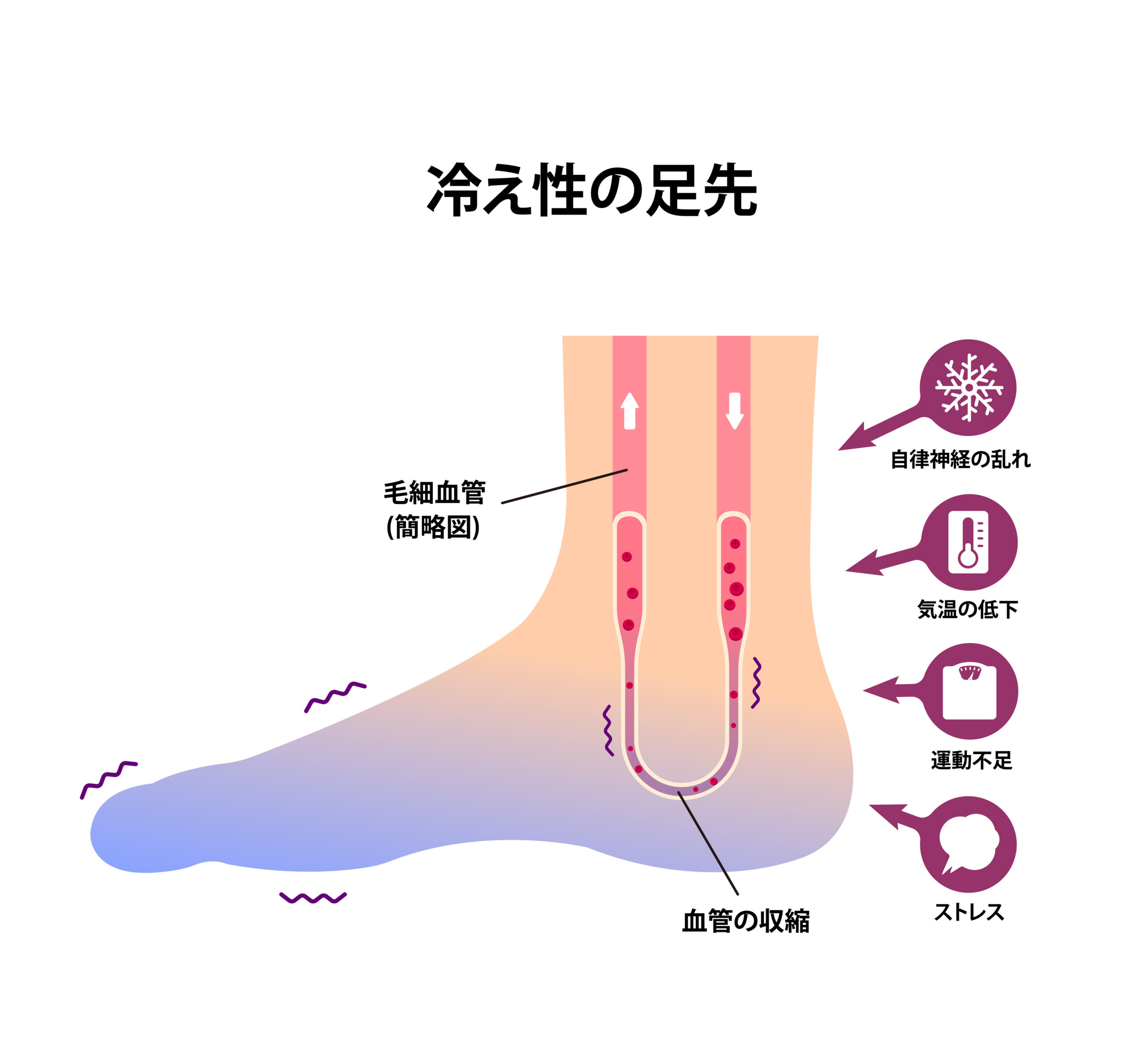 中区上前津 パーソナルジム リア配信 ふくらはぎを鍛えることで得られる効果とは