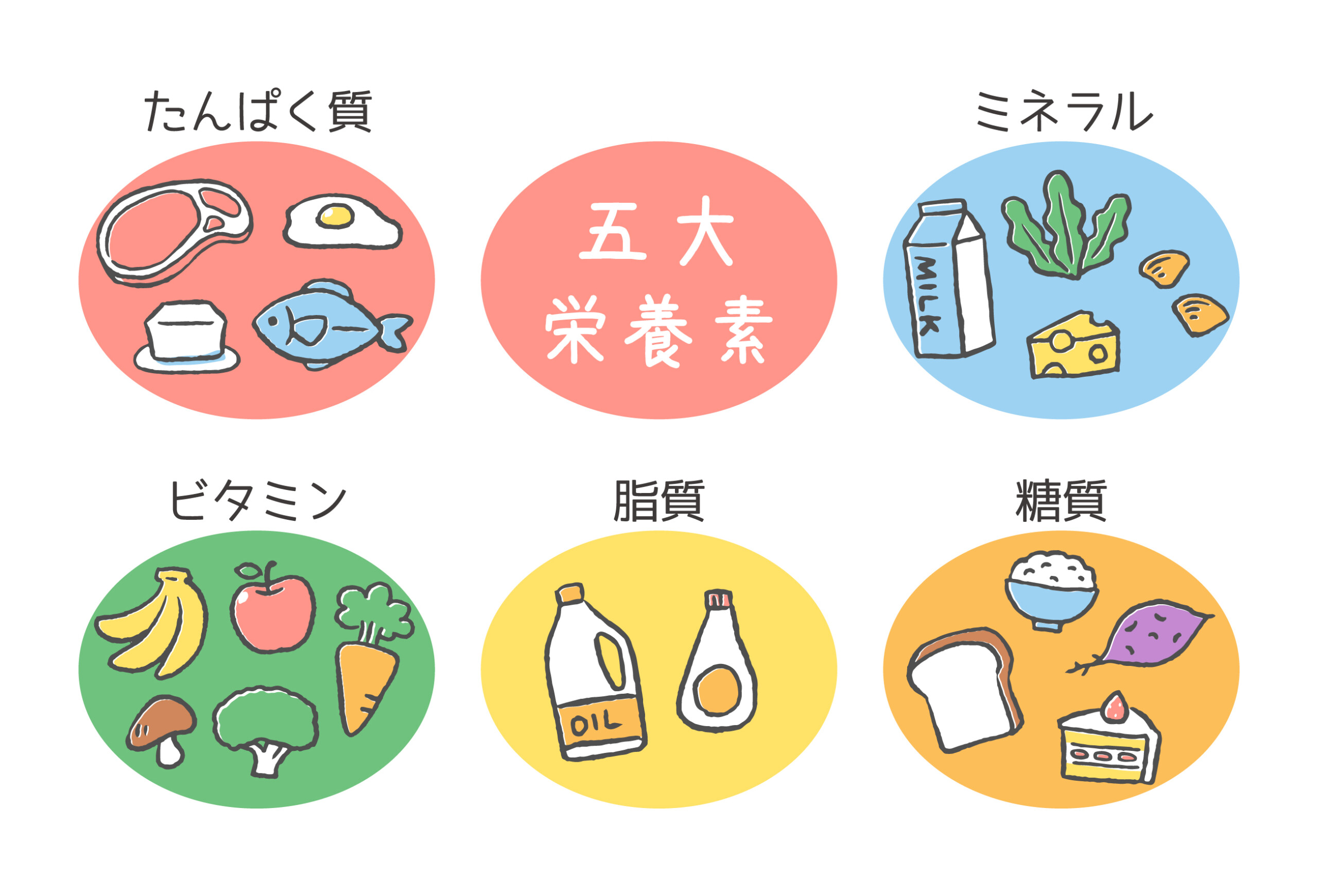 名古屋市中区大須リアパーソナルジム_栄養素のイラスト