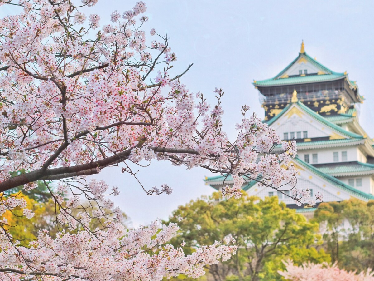 リアパーソナルジム熱田区_お城と桜