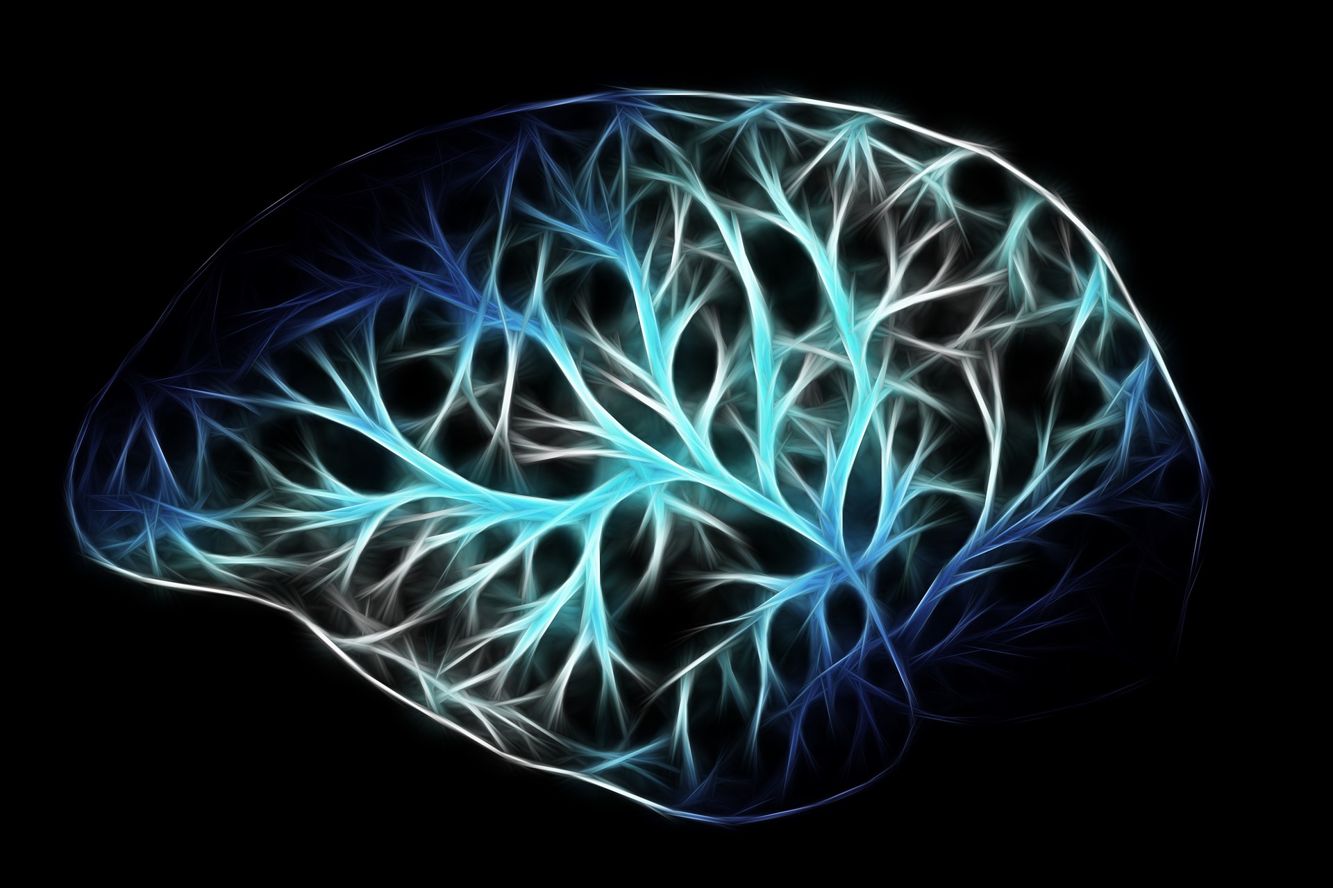 脳神経（模擬）