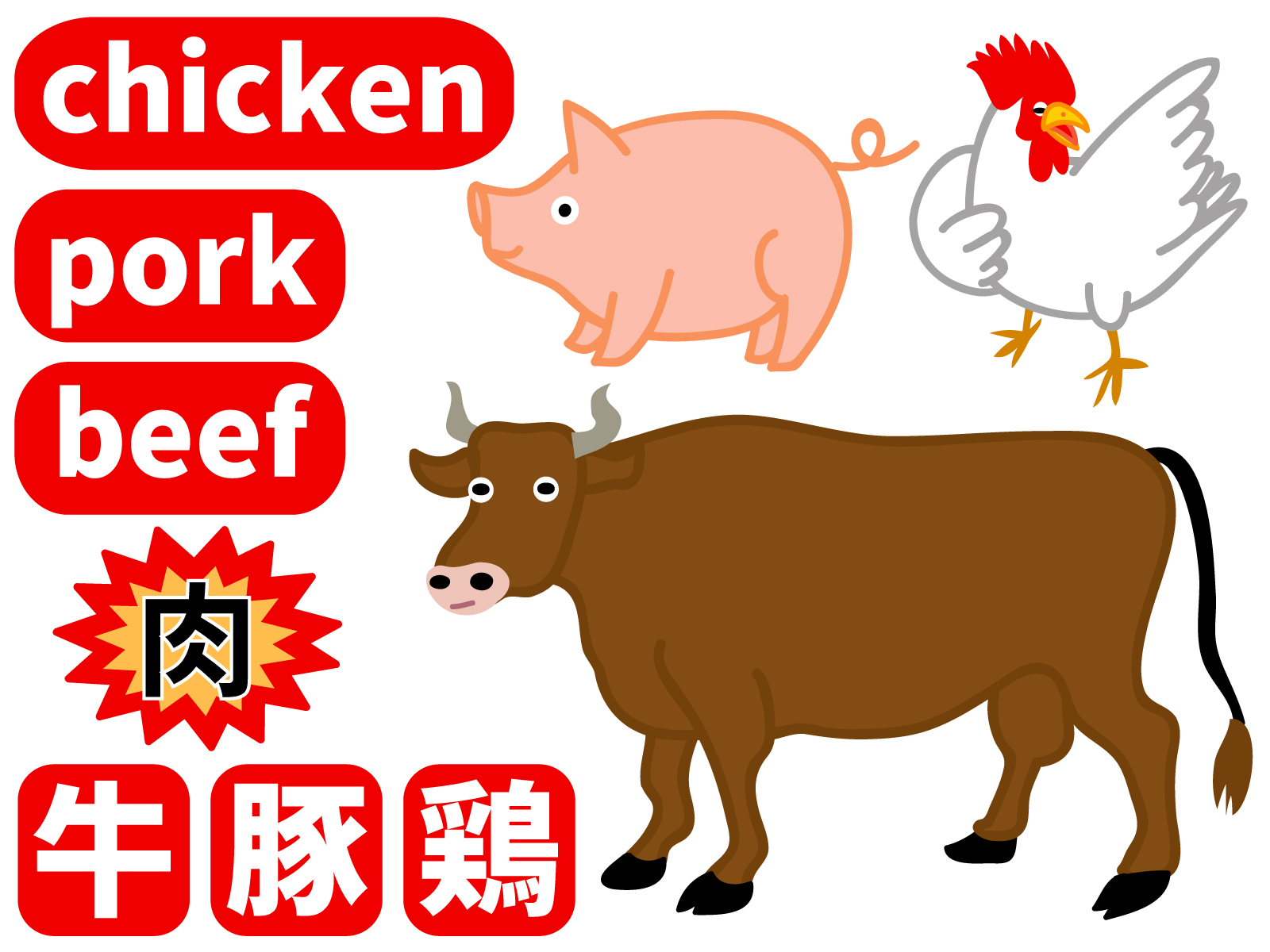 名古屋市東区大曽根リアパーソナルジム_様々な肉の種類の絵